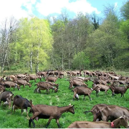Vakantiehuis Loustalot Aydius